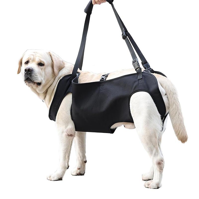 Dog Stair Assistance Leash Eld - огляд і ціна Harness Climbing Adjustable