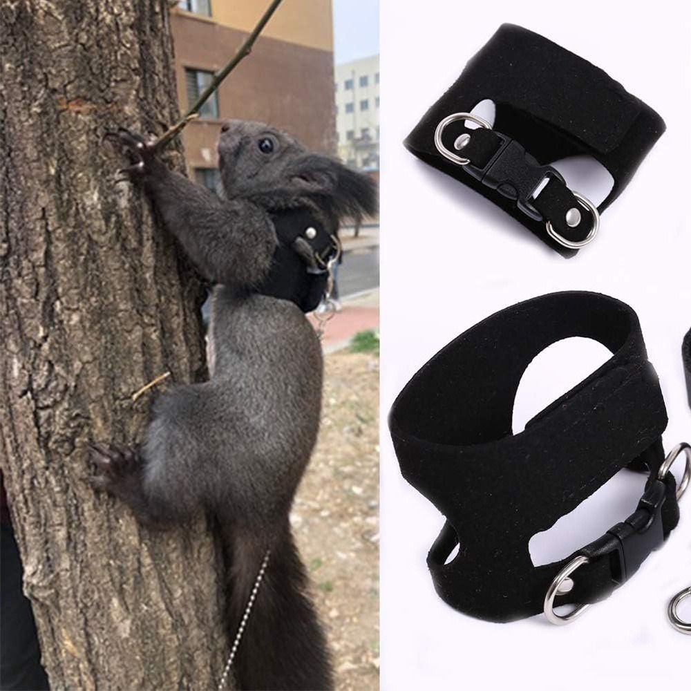 Adjustable Rat Harness and Lea - огляд і ціна Harness Climbing Adjustable