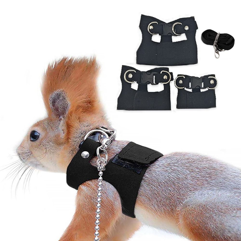 Adjustable Rat Harness and Lea - огляд і ціна Harness Climbing Adjustable